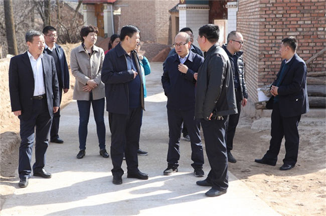 省院领导调研督导庄浪县盘安镇脱贫攻坚工作3.jpg